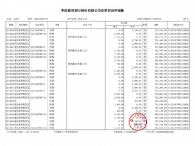 企业对公流水制作案例