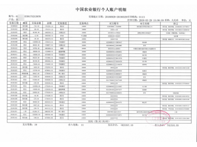 个人银行流水账单流水制作案例